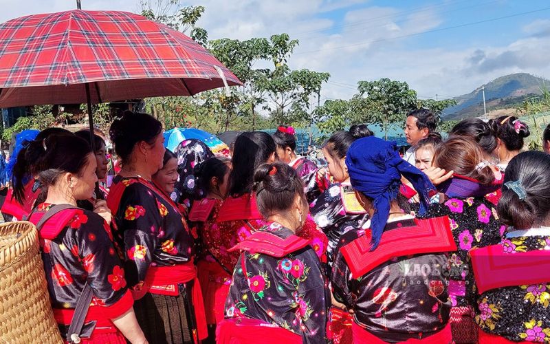 Kinh nghiệm trekking Lảo Thẩn từ A đến Z: Chinh phục "nóc nhà Y Tý" Chim dam trong sac mau van hoa tai cho phien Phin Ho