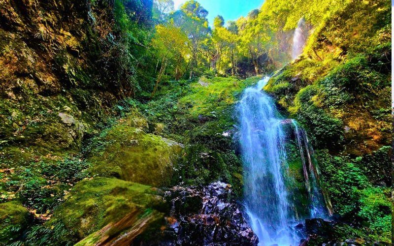 Kinh nghiệm trekking Lùng Cúng từ A đến Z: Chinh phục "nóc nhà Yên Bái" Dieu gi khien Lung Cung tro nen dac biet den vay