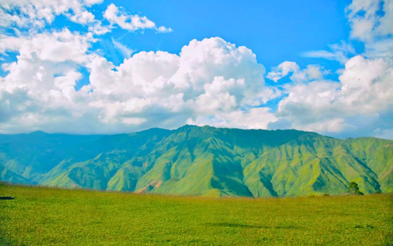 Kinh nghiệm Trekking Tà Xùa từ A đến Z: Chinh phục "thiên đường mây" Thoi tiet tai Ta Xua