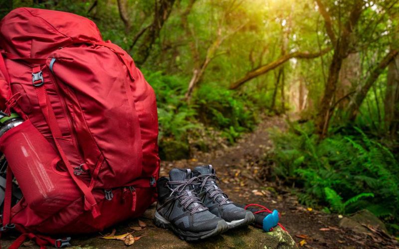 Kinh nghiệm trekking núi Dinh Vũng Tàu từ A đến Z cho newbie Can chuan bi gi de trekking Nui Dinh