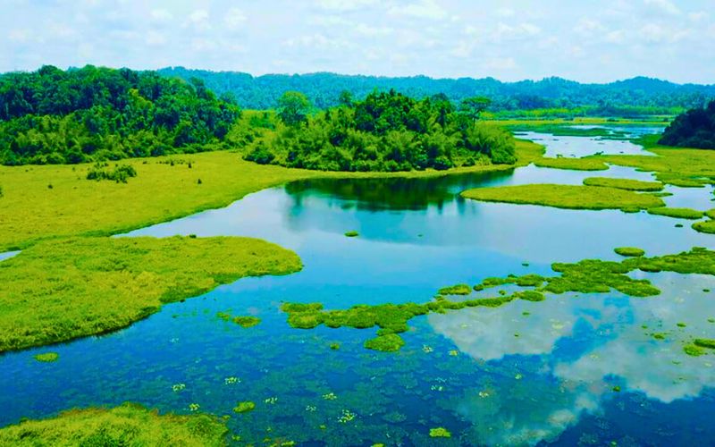 Kinh nghiệm từ A-Z về Trekking Nam Cát Tiên Dieu gi thu hut nhung trekker den voi Nam Cat Tien