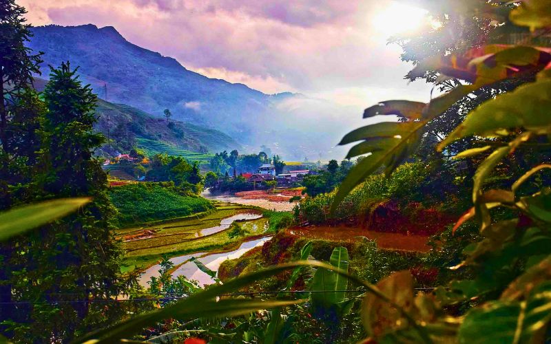 Trekking Fansipan - Nóc nhà Đông Dương: Kinh nghiệm trekking "xịn sò" nhất 2025! Giai ma bai toan chi phi Trekking Fansipan bao nhieu cho du