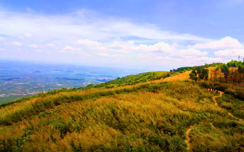 Trekking Núi Chứa Chan: Kinh Nghiệm từ A-Z Cho Dân Trekker Lua chon cung duong Trekking Nui Chua Chan