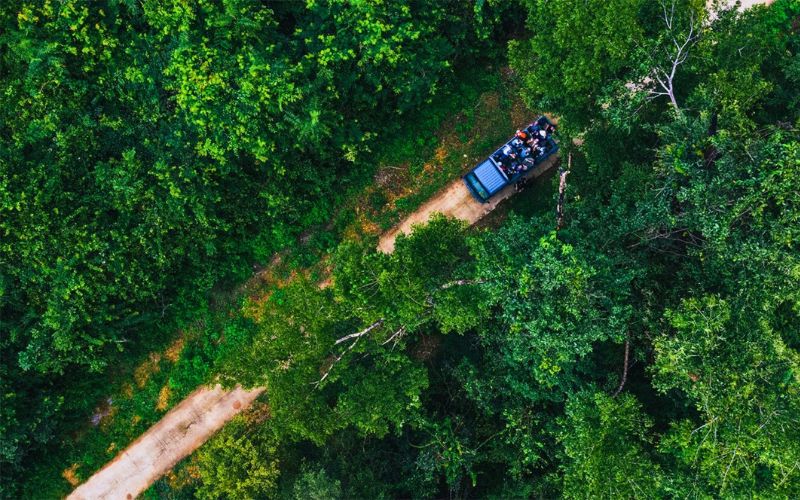 Kinh nghiệm từ A-Z về Trekking Nam Cát Tiên Lua chon cung duong trekking Nam Cat Tien