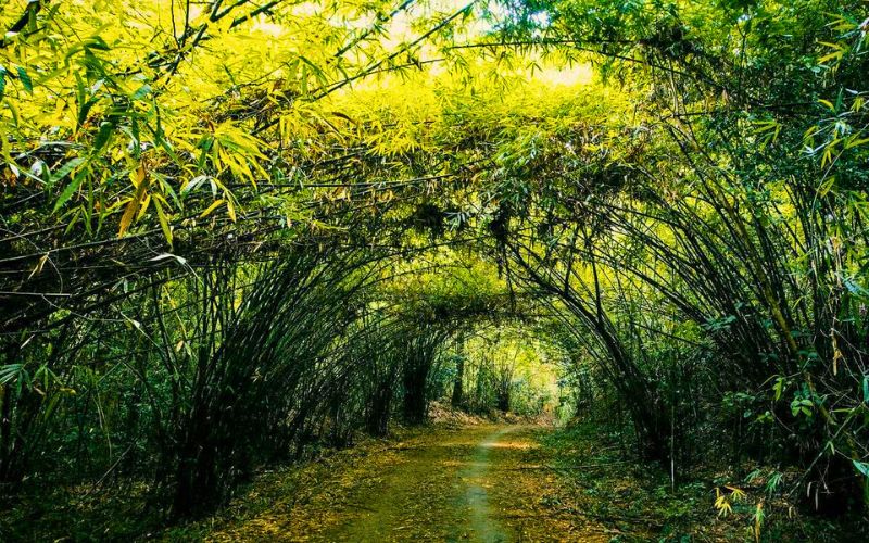 Kinh nghiệm từ A-Z về Trekking Nam Cát Tiên Thoi tiet o Nam Cat Tien