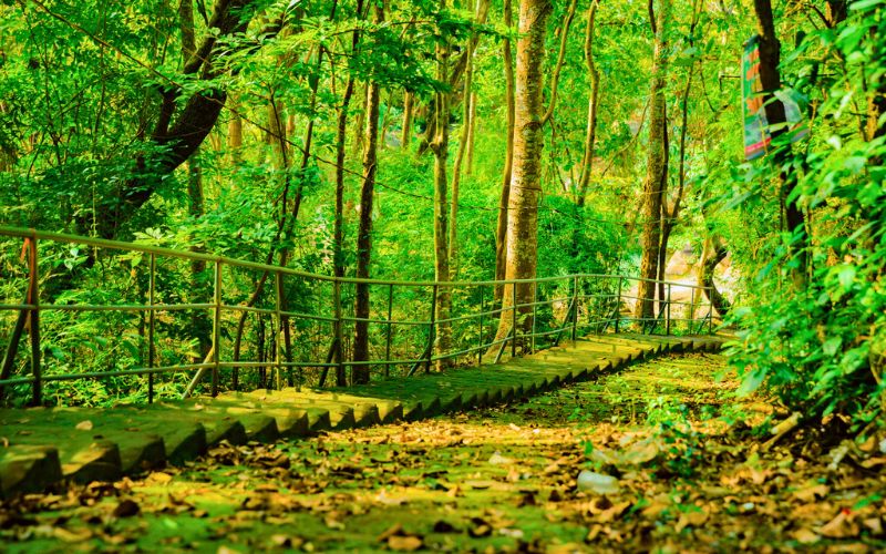 Kinh nghiệm trekking núi Dinh Vũng Tàu từ A đến Z cho newbie Vi vu Nui Dinh voi ngan sach bao nhieu la du