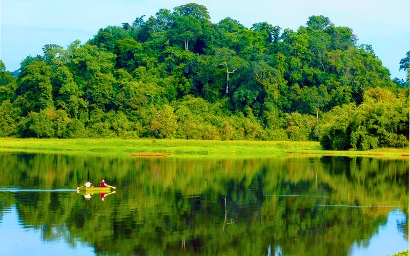 Kinh nghiệm từ A-Z về Trekking Nam Cát Tiên Vuon quoc gia Nam Cat Tien