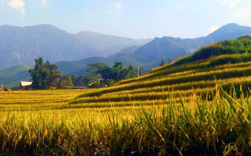 Trekking Fansipan - Nóc nhà Đông Dương: Kinh nghiệm trekking "xịn sò" nhất 2025! trekking Fansipan