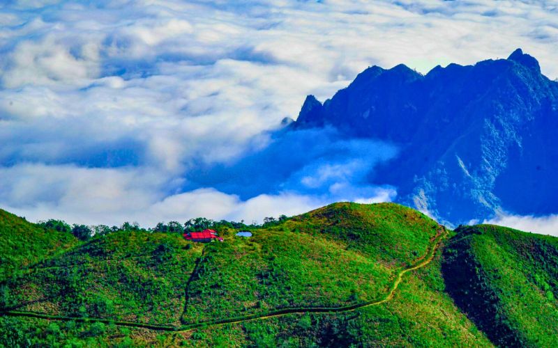 Bạch Mộc Lương Tử Trekking: Chinh phục "Nóc nhà" Tây Bắc và săn mây đại ngàn! Chon cung duong nao cho chuan bai
