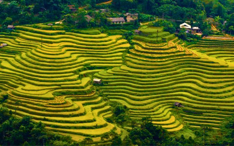 Cẩm Nang Trekking Hà Giang Dành Cho Newbie Hanh trinh trekking Ha Giang co gi dac biet