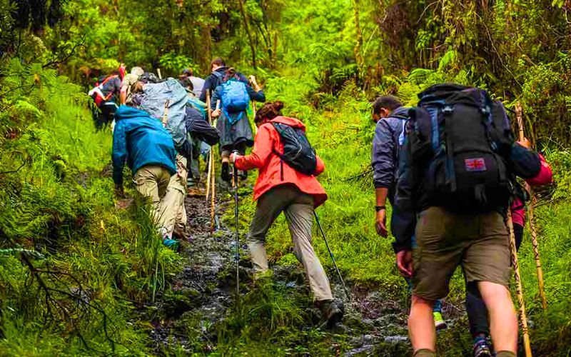 Hiking và Trekking: Lựa chọn nào cho bạn? Luu y quan trong khi tham gia hiking va trekking
