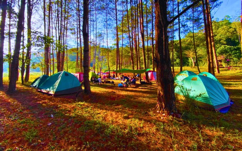 Kinh nghiệm Trekking Đà Lạt từ A-Z cho dân Trekker Ngan sach trekking Da Lat Du lich bui hay sang chanh