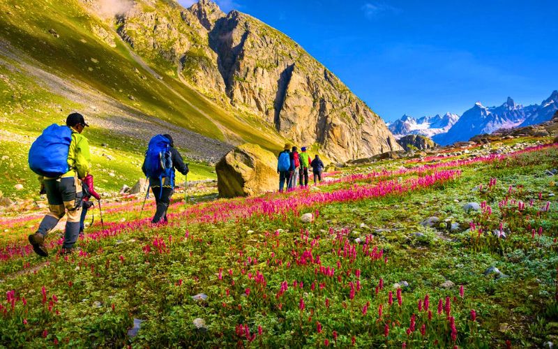Hiking và Trekking: Lựa chọn nào cho bạn? Trekking la gi