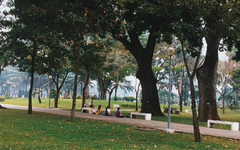 Cắm Trại Qua Đêm Ở Sài Gòn: Ngỡ Rừng Xa, Hóa Ra Ngay Phố Thị! cam trai qua dem o sai gon ngo rung xa hoa ra ngay pho thi 1