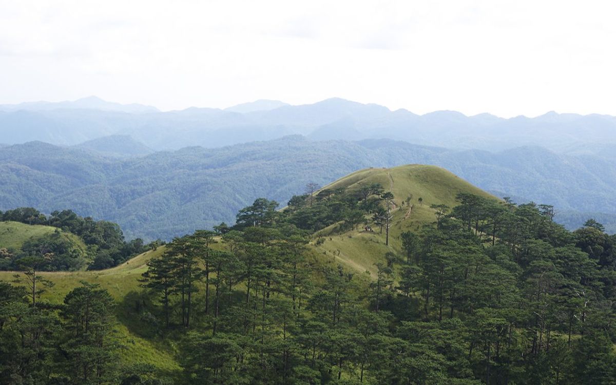 Kinh nghiệm trekking Tà Năng – Phan Dũng chi tiết từ A đến Z