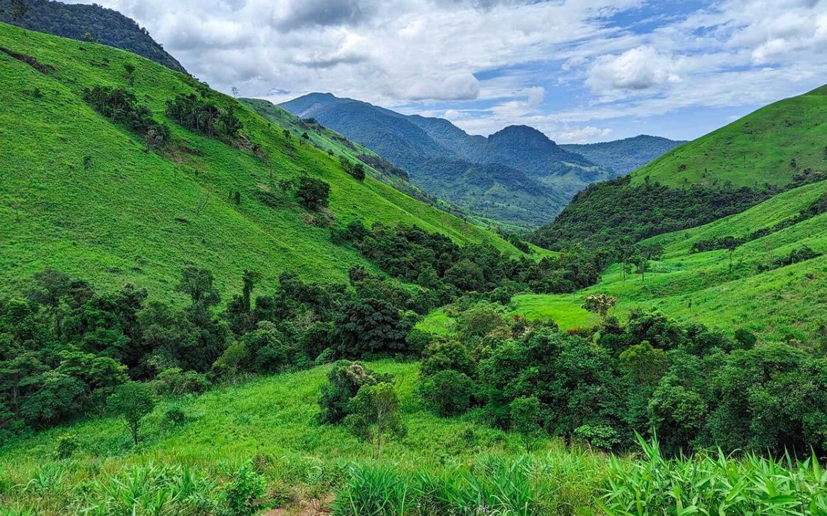 Thời Điểm Đẹp Nhất Đi Tà Giang Là Khi Nào? Mùa Nào Đẹp Nhất?