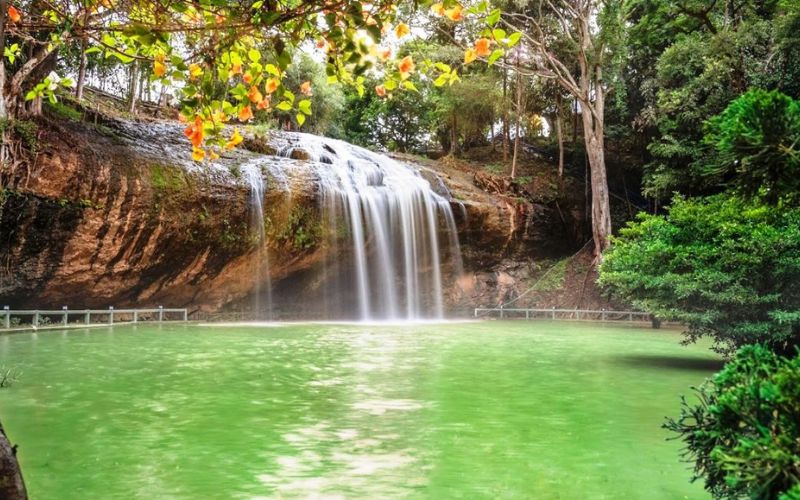 Thác 7 Tầng Đà Lạt (Pongour): Kinh Nghiệm Du Lịch Từ A-Z cac dia diem tham quan gan thac pongour