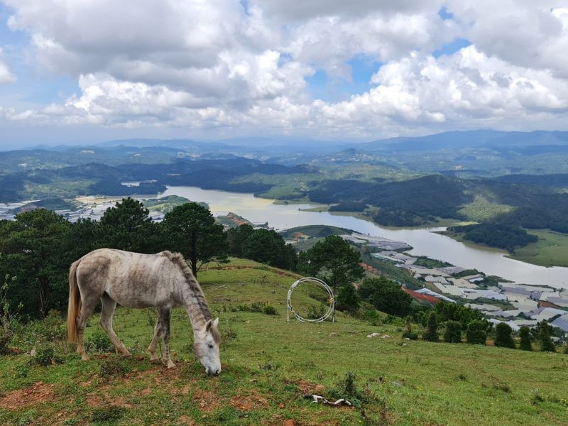 Chọn Giày Trekking Langbiang: Bí Kíp Cho Đôi Chân Thoải Mái cac yeu to can xem xet khi chon giay trekking langbiang