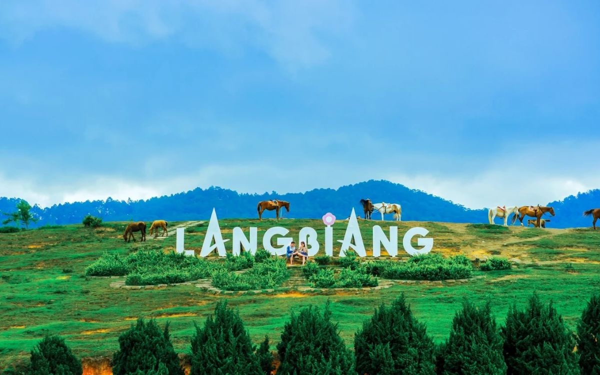 Chinh Phục Đỉnh Radar Langbiang: Hướng Dẫn Chi Tiết Cho Người Mới