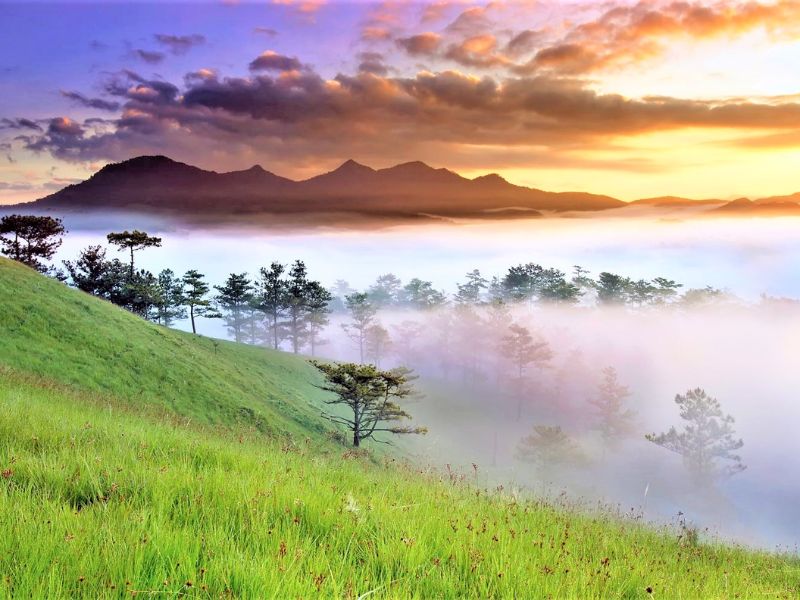 An Toàn Khi Trekking Langbiang: Phòng Tránh Rủi Ro và Xử Lý Tình Huống huong dan phong tranh va xu ly tinh huong