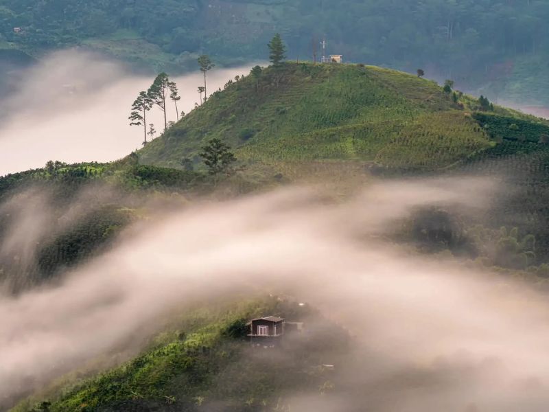 Kinh Nghiệm Cắm Trại Langbiang: Ngắm Đà Lạt Về Đêm Từ Đỉnh Núi trai nghiem cam trai langbiang
