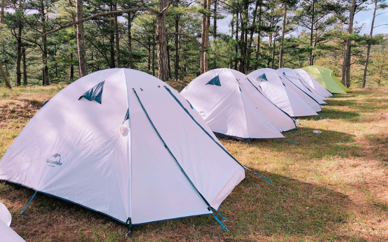 Cẩm Nang Camping Đà Lạt Cho 'Newbie': Chuẩn Bị Gì, Ở Đâu & Lưu Ý An Toàn? Cam Nang Camping Da Lat Cho Newbie Chuan Bi Gi O Dau Luu Y An Toan 3