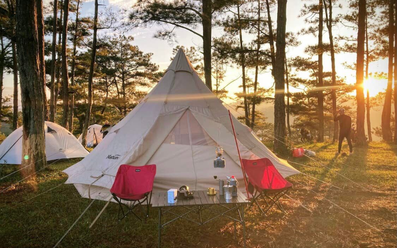 Cẩm Nang Camping Đà Lạt Cho 'Newbie': Chuẩn Bị Gì, Ở Đâu & Lưu Ý An Toàn? Cam Nang Camping Da Lat Cho Newbie Chuan Bi Gi O Dau Luu Y An Toan 5