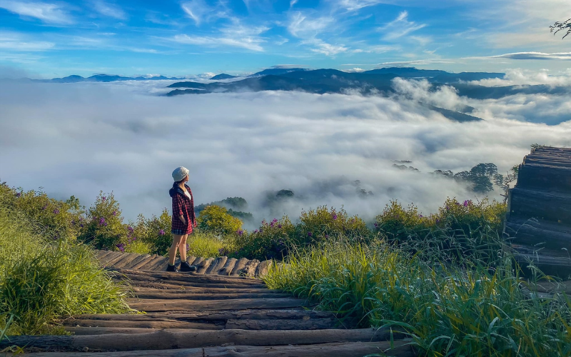Camping Đà Lạt Có Gì Vui? Khám Phá Trọn Vẹn Trải Nghiệm 'Săn Mây Ngủ Lều' Đang Gây Sốt Camping Da Lat Co Gi Vui Kham Pha Tron Ven Trai Nghiem San May Ngu Leu Dang Gay Sot