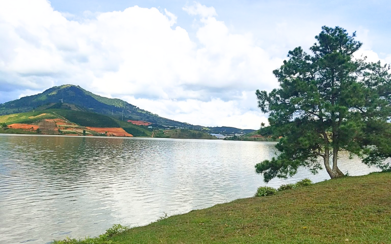 Địa Điểm Cắm Trại Đà Lạt View Đẹp 'Chill' Hết Nấc – Tìm Đâu Cho Chuẩn? Dia Diem Cam Trai Da Lat View Dep Chill Het Nac – Tim Dau Cho Chuan 4
