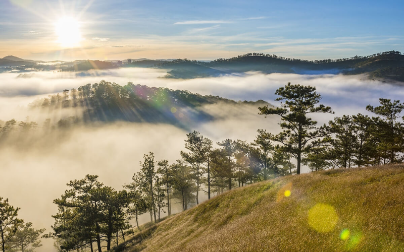 Địa Điểm Cắm Trại Đà Lạt View Đẹp 'Chill' Hết Nấc – Tìm Đâu Cho Chuẩn? Dia Diem Cam Trai Da Lat View Dep Chill Het Nac – Tim Dau Cho Chuan 5