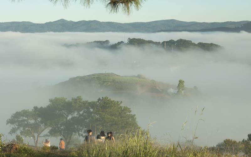 Địa Điểm Cắm Trại Đà Lạt View Đẹp 'Chill' Hết Nấc – Tìm Đâu Cho Chuẩn? Dia Diem Cam Trai Da Lat View Dep Chill Het Nac – Tim Dau Cho Chuan 6