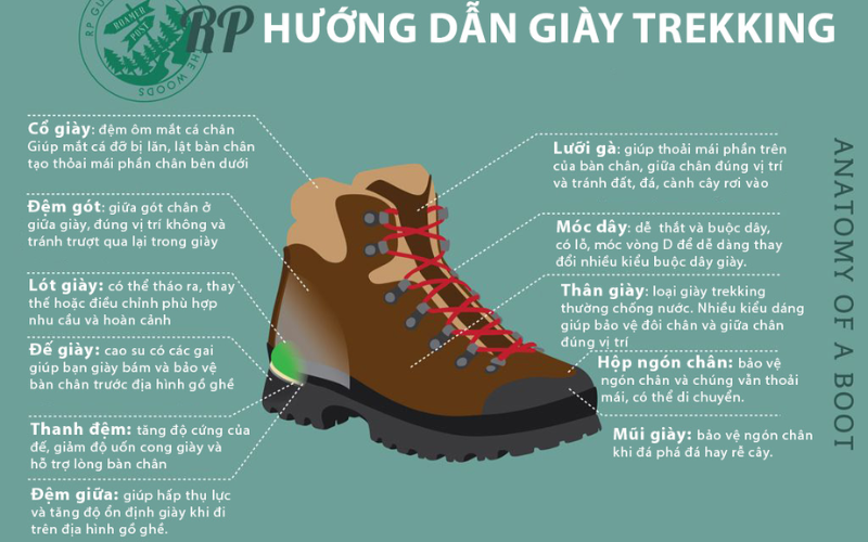 Giày Trekking Là Gì? Giải Mã Tất Tần Tật Giay Trekking La Gi Giai Ma Tat Tan Tat 4