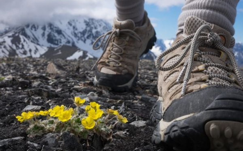 Giày Trekking Là Gì? Giải Mã Tất Tần Tật Giay Trekking La Gi Giai Ma Tat Tan Tat 9