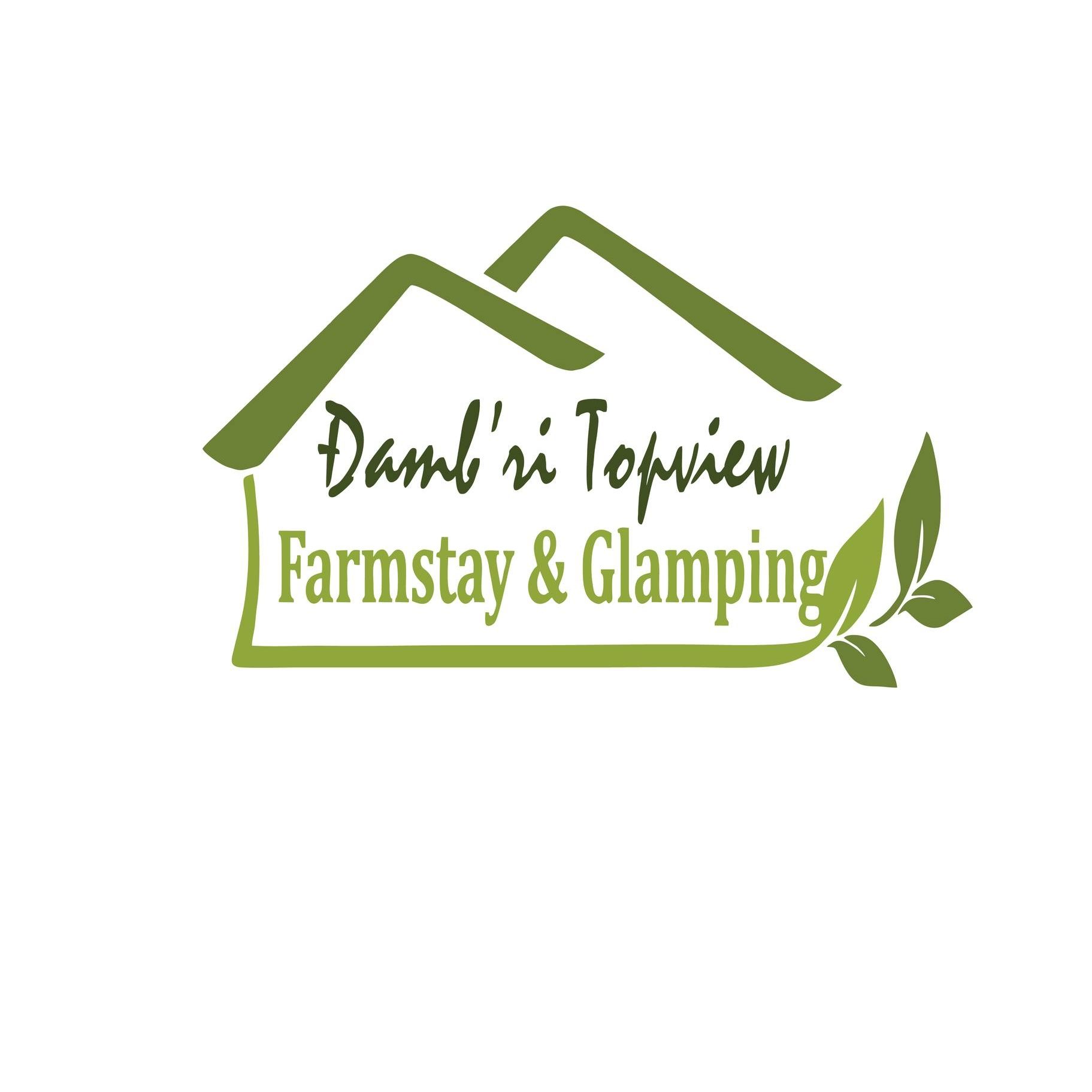 Dambri TopView e1748505986463
