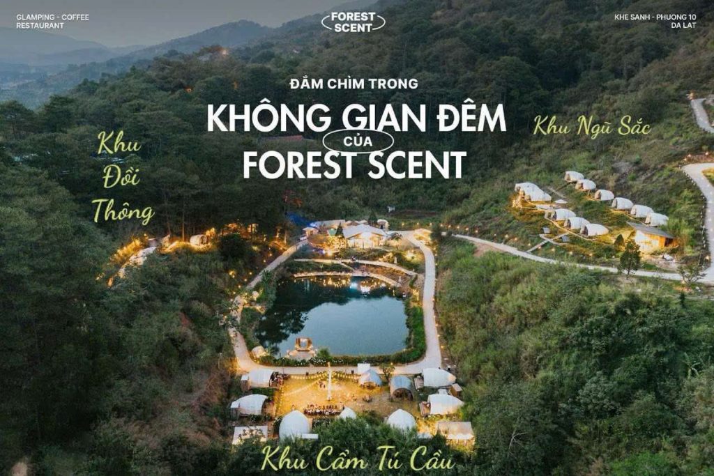 Dich Vu Combo Tron Goi Forest Scent