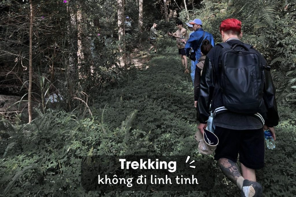 Trekking Goi Basic Plus Tai Trung