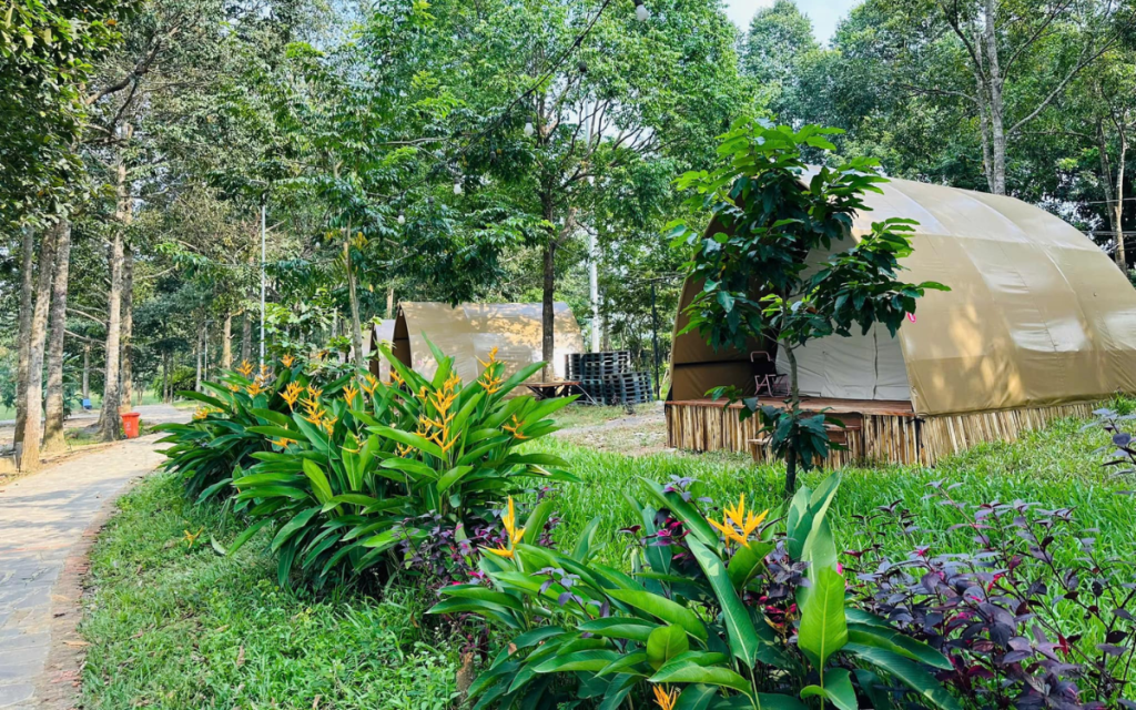 Nature WOW Glamping Có Thật Sự "WOW" Như Lời Đồn? Đánh Giá Chi Tiết Số 08, Đường Bờ Hồ, Ấp 1, xã Hiếu Liêm, huyện Vĩnh Cửu, cách TP.HCM