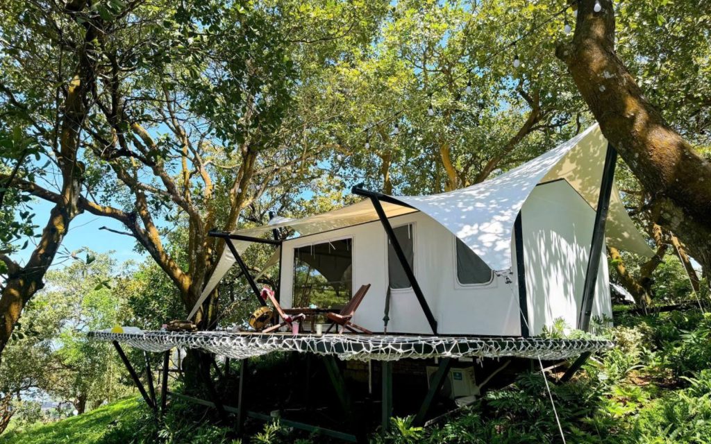 Tổng Quan Về Tropical Eglamping